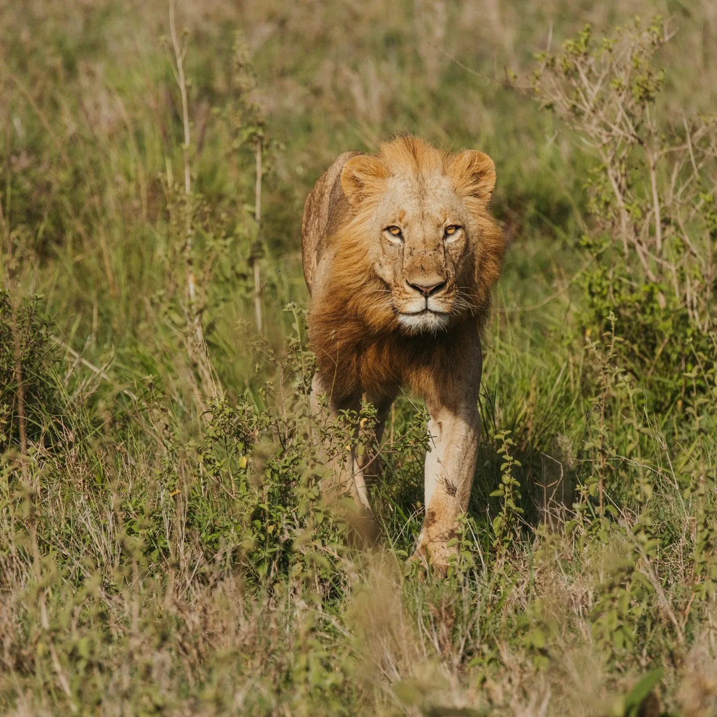 The Nairobi Traffic Experience - Image 3