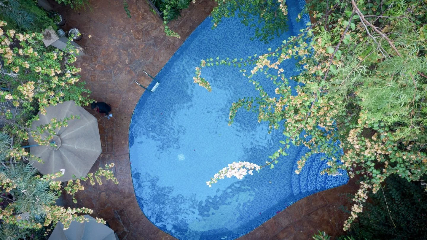 A scenic helicopter safari over Nairobi story image 1