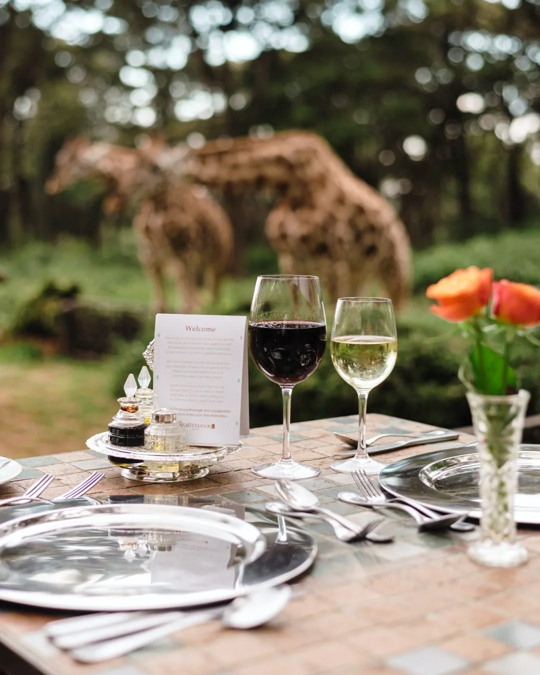 Giraffe Manor - Image 1