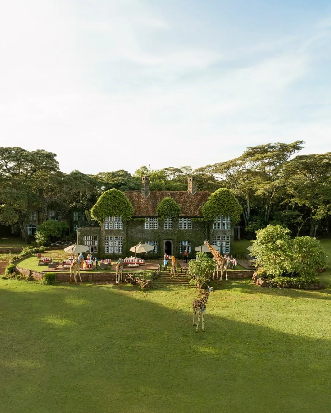 Explore the local markets with a private guide