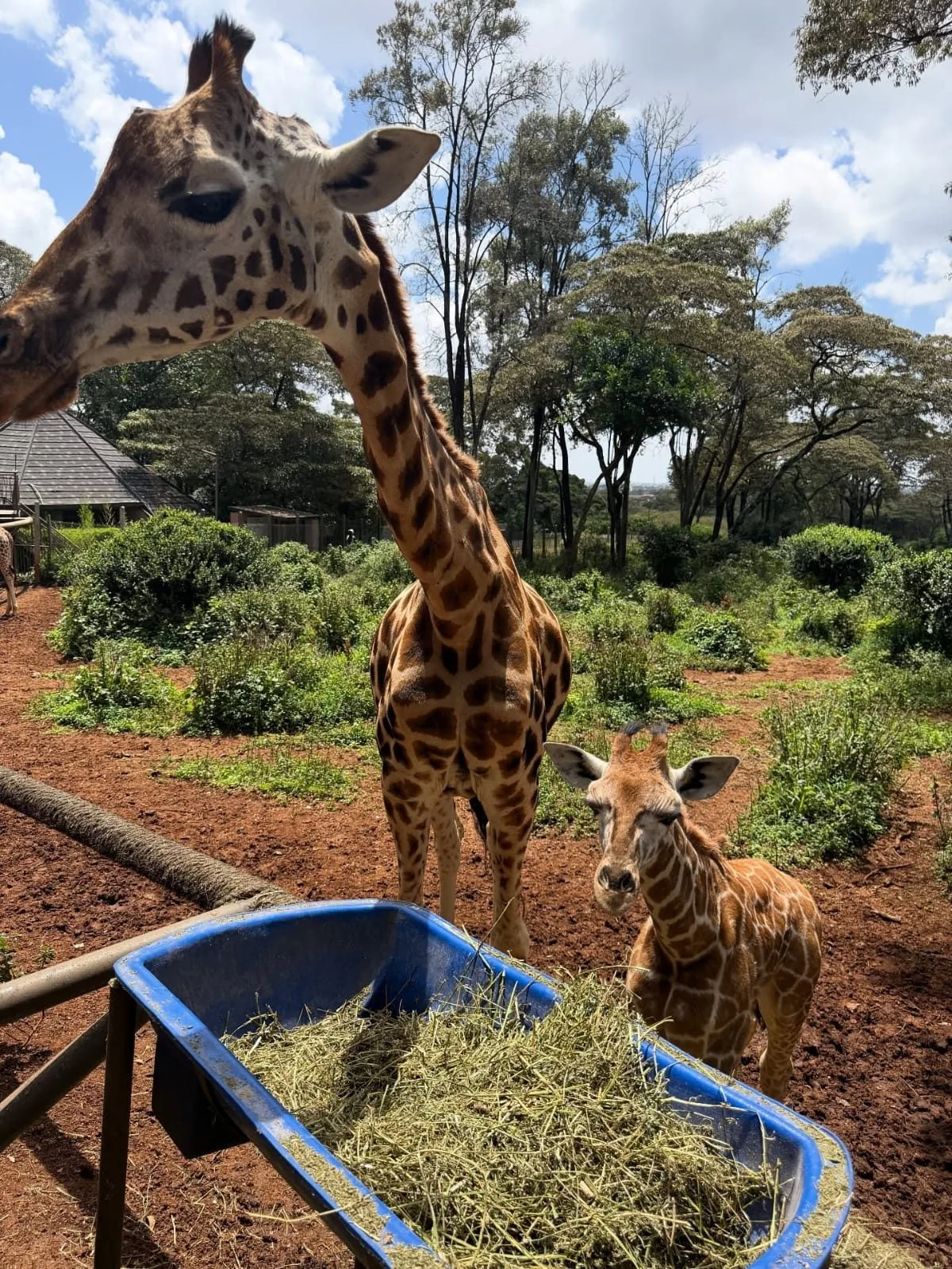 overview, Nairobi