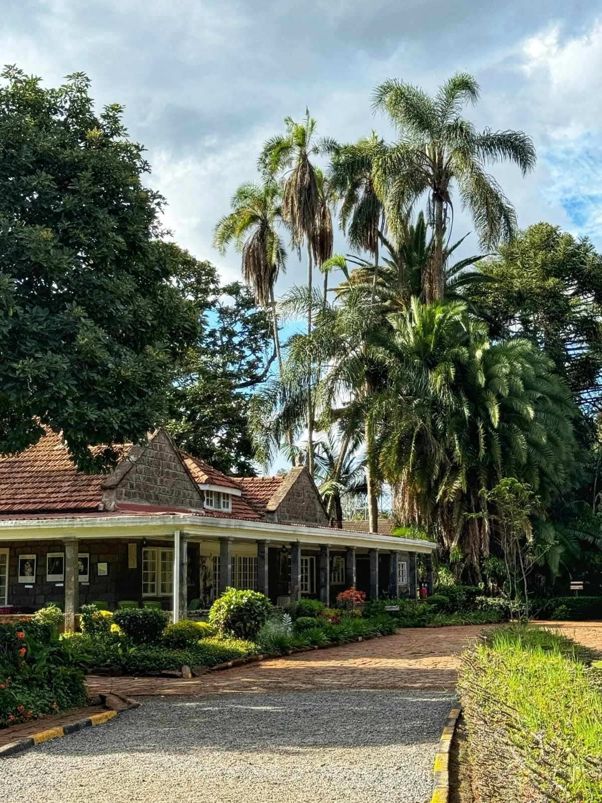 Kiambethu Tea Farm walking experience story image 3