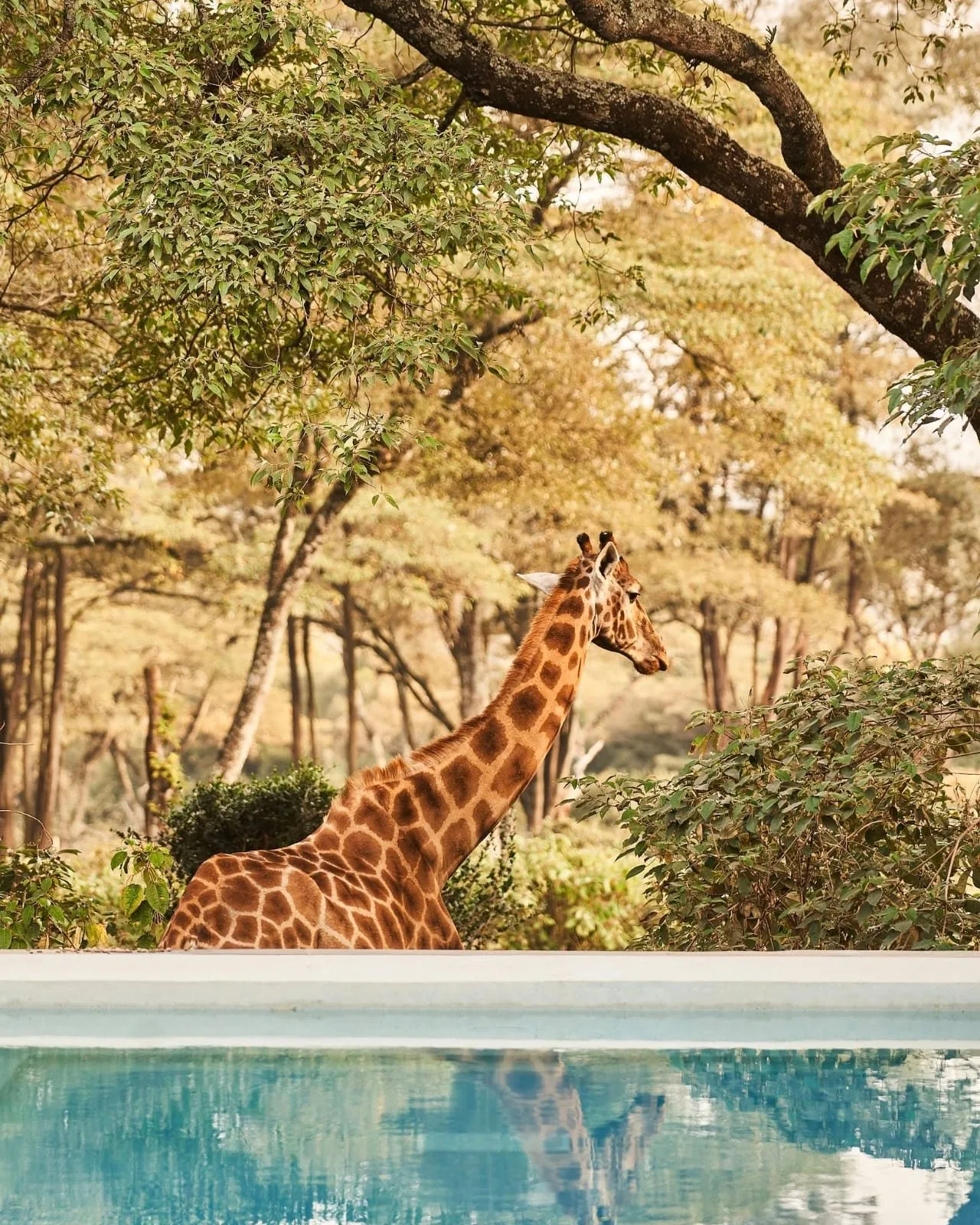 overview, Nairobi