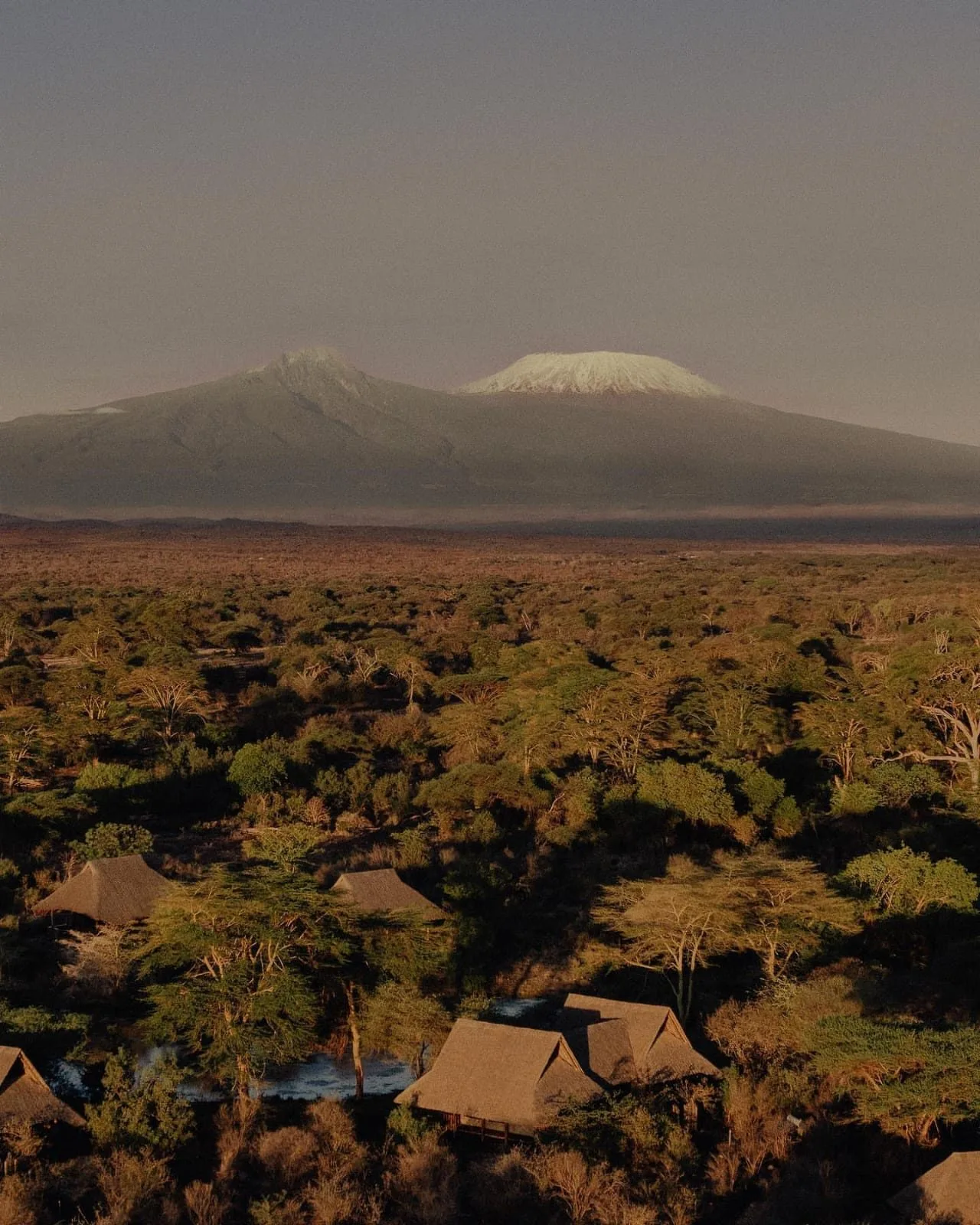 wildlife, Tsavo & Lumo Conservancy