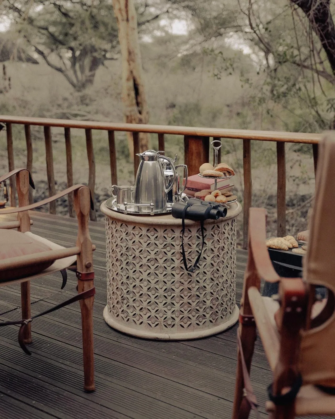 wildlife, Tsavo & Lumo Conservancy