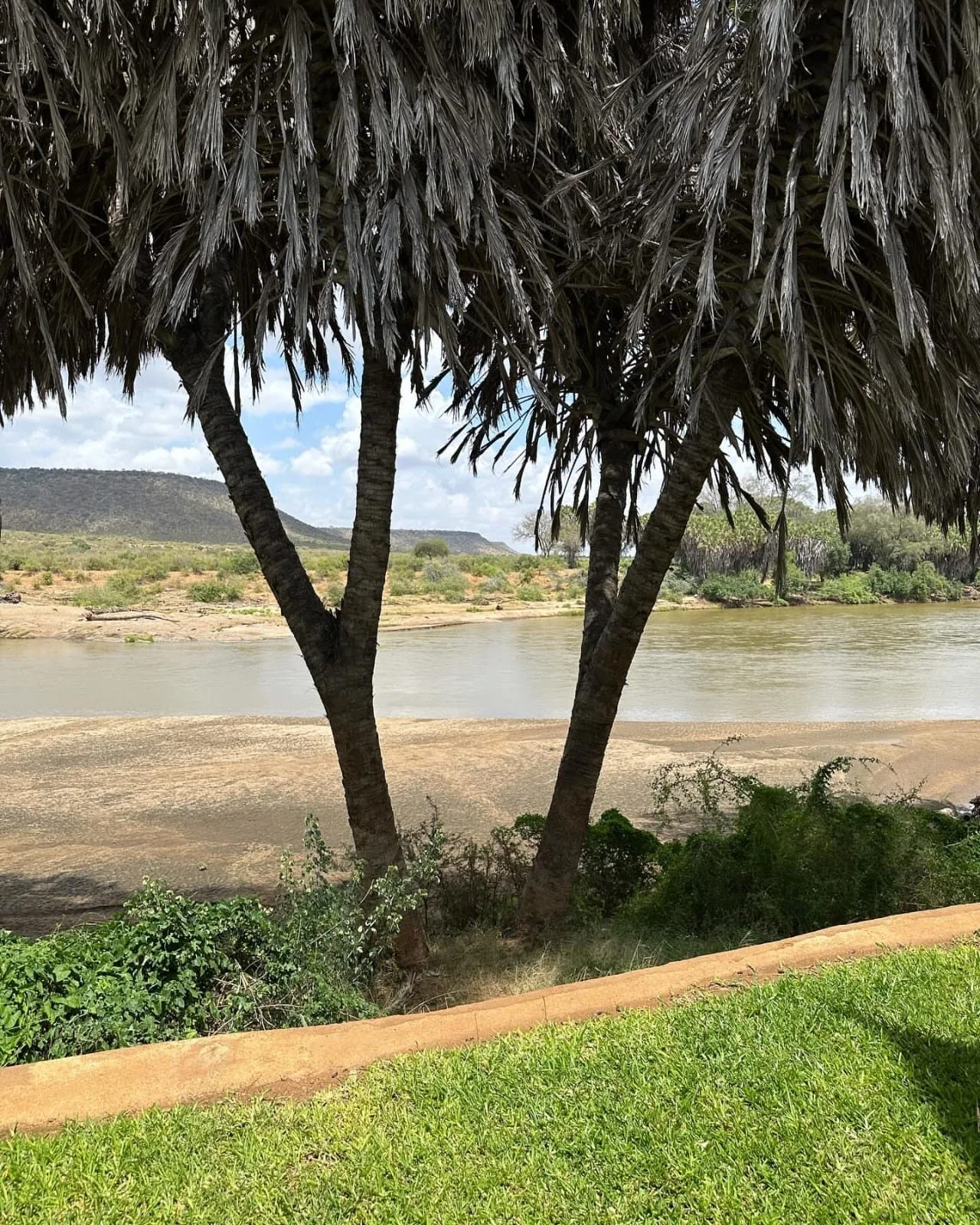 wildlife, Tsavo & Lumo Conservancy
