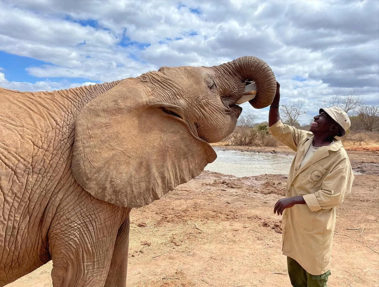 overview, Tsavo & Lumo Conservancy