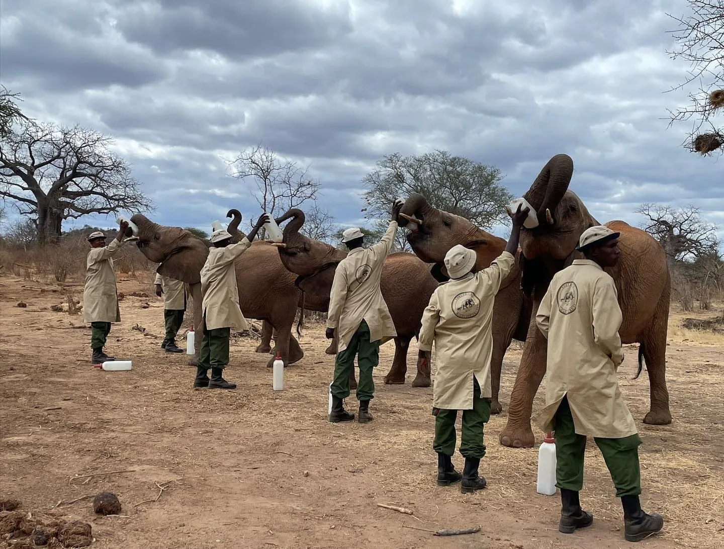 overview, Tsavo & Lumo Conservancy