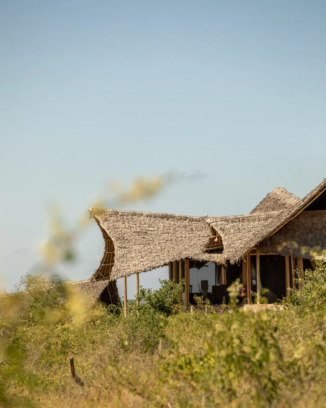 wildlife, Tsavo & Lumo Conservancy