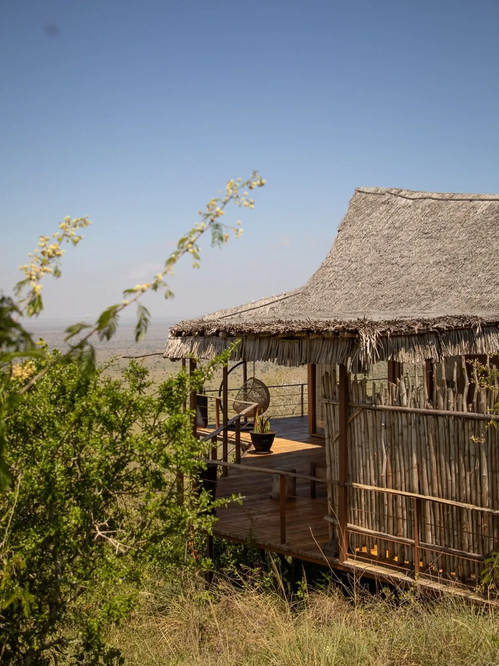 wildlife, Tsavo & Lumo Conservancy
