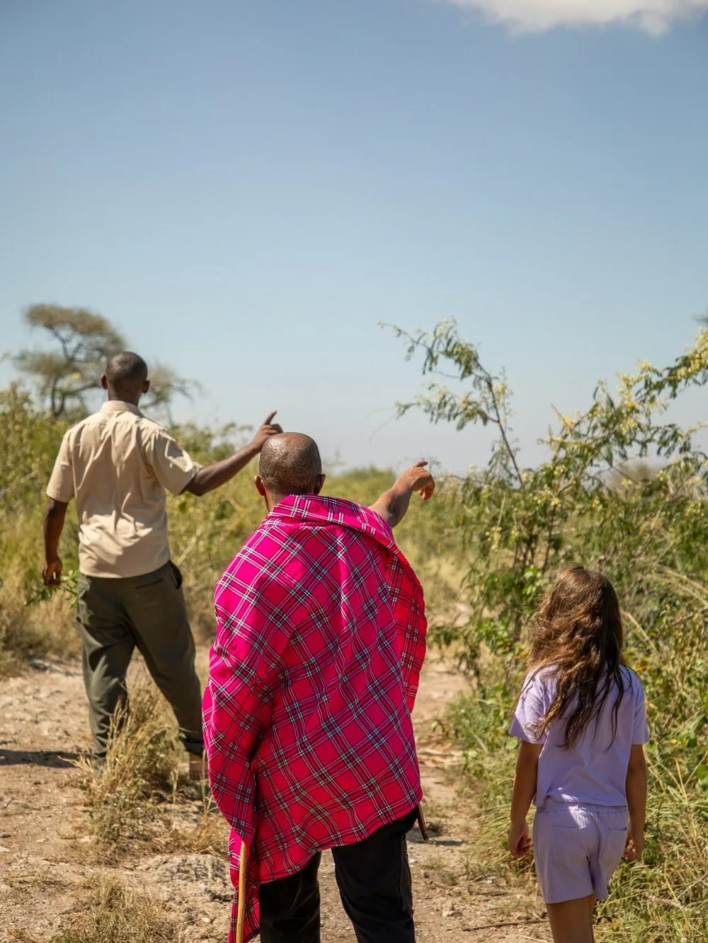 wildlife, Tsavo & Lumo Conservancy