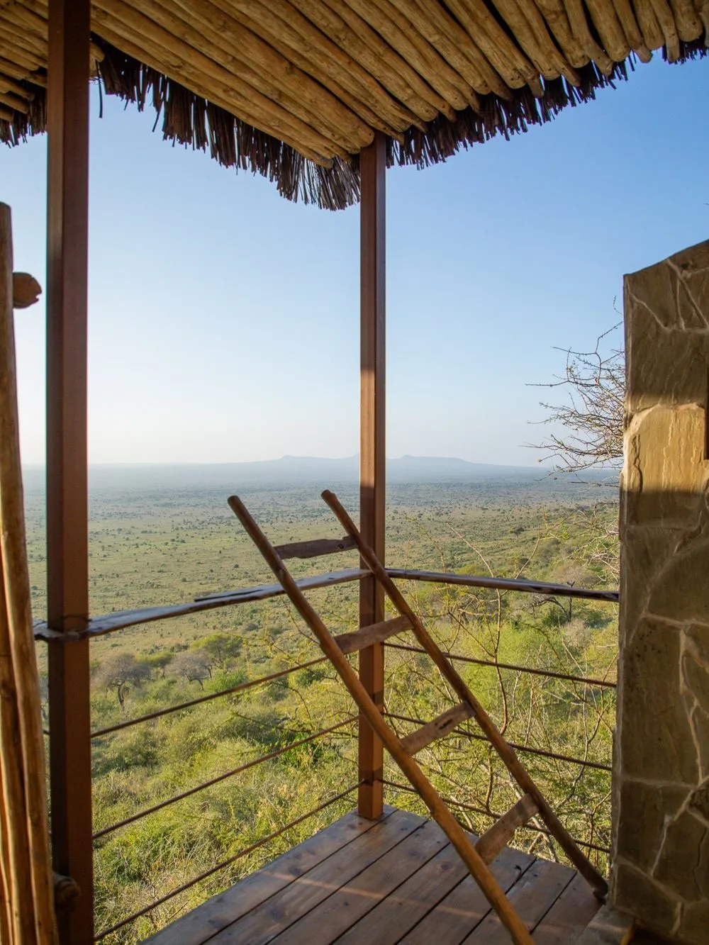 wildlife, Tsavo & Lumo Conservancy
