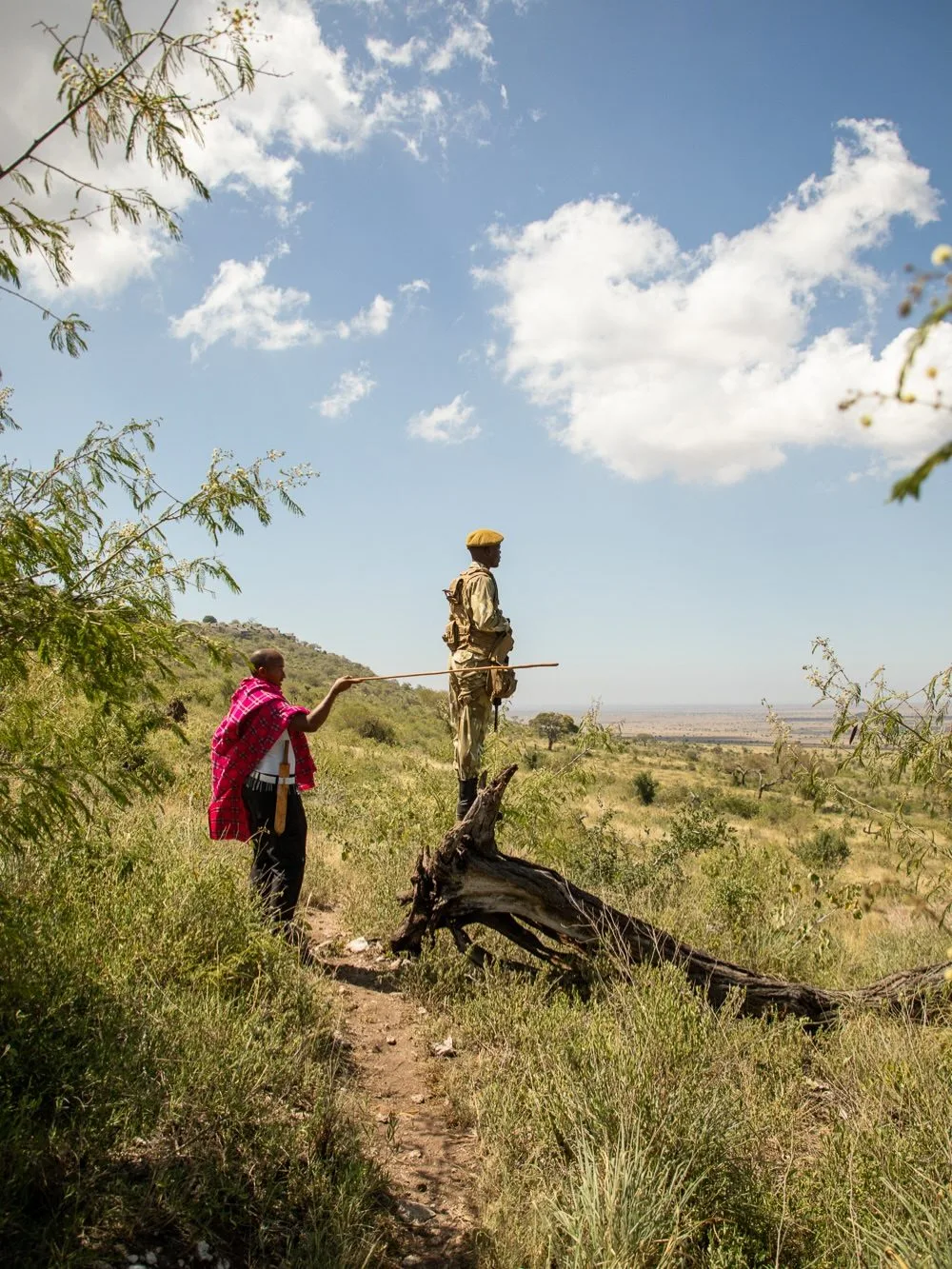 overview, Tsavo & Lumo Conservancy