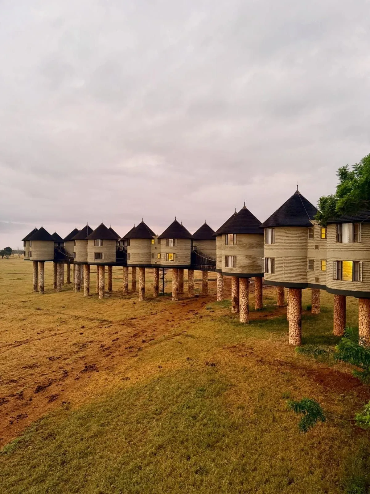 wildlife, Tsavo & Lumo Conservancy