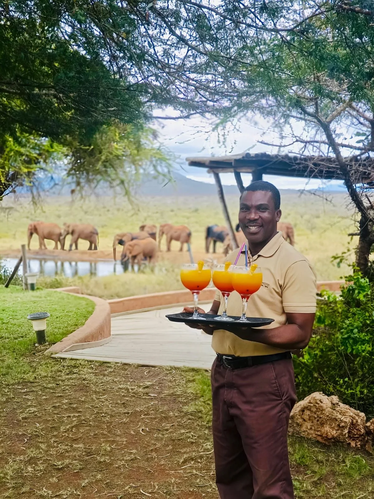 Tsavo & Lumo Conservancy image 02