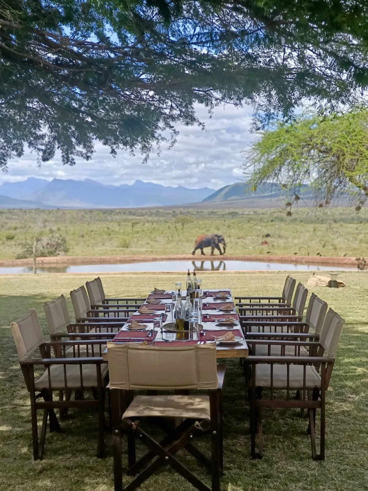 Tsavo & Lumo Conservancy image 05