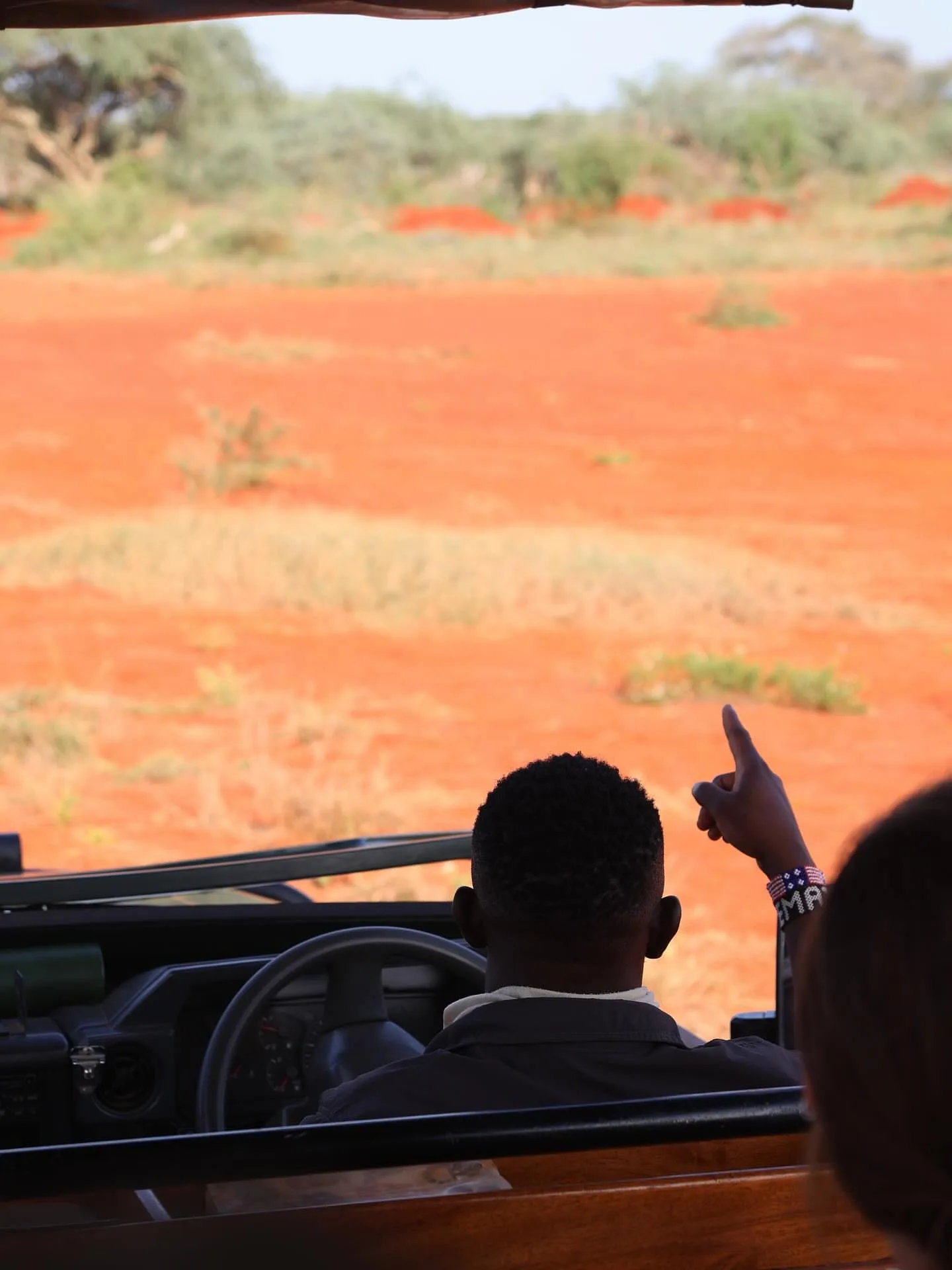 Tsavo & Lumo