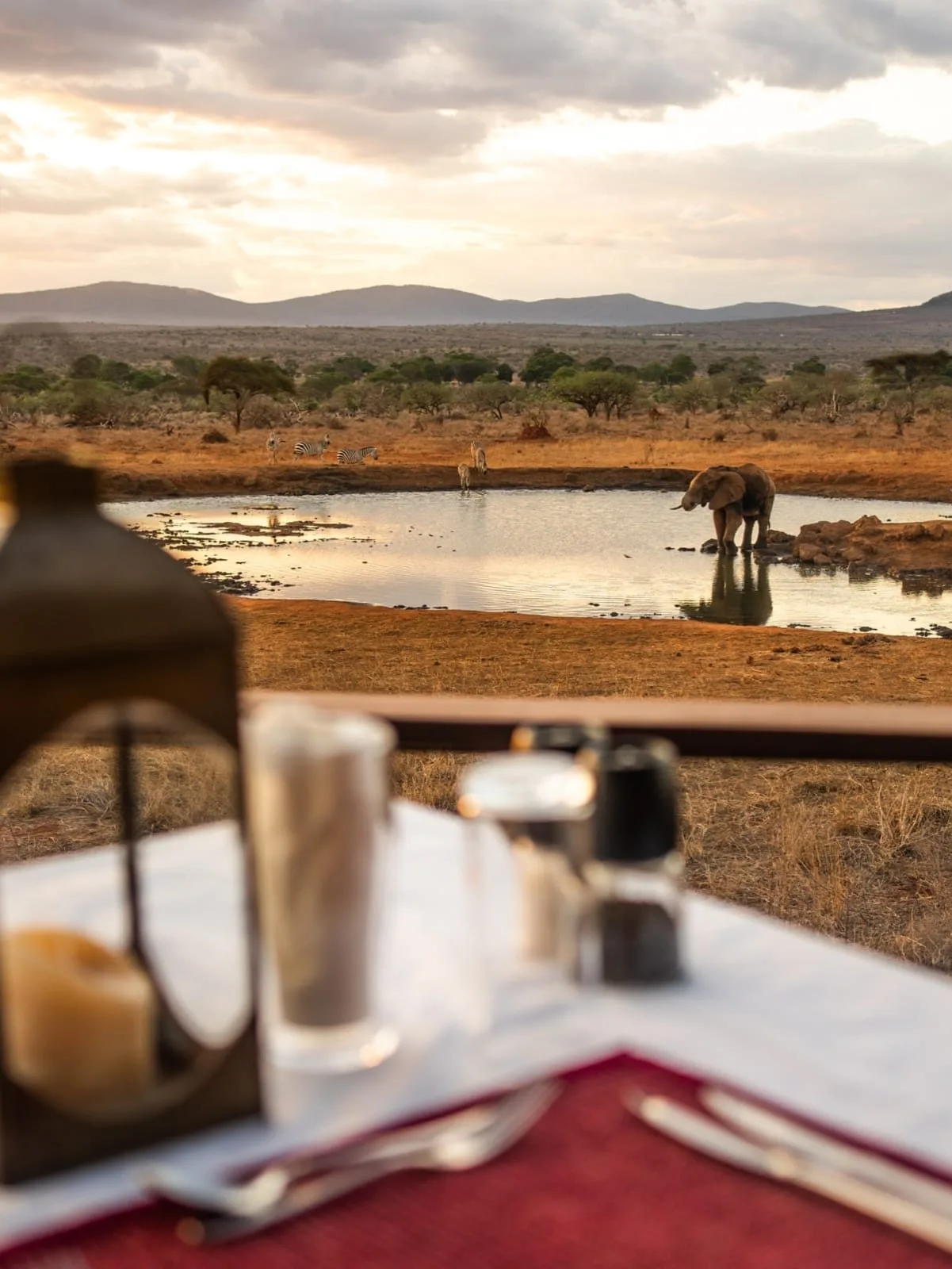 wildlife, Tsavo & Lumo Conservancy