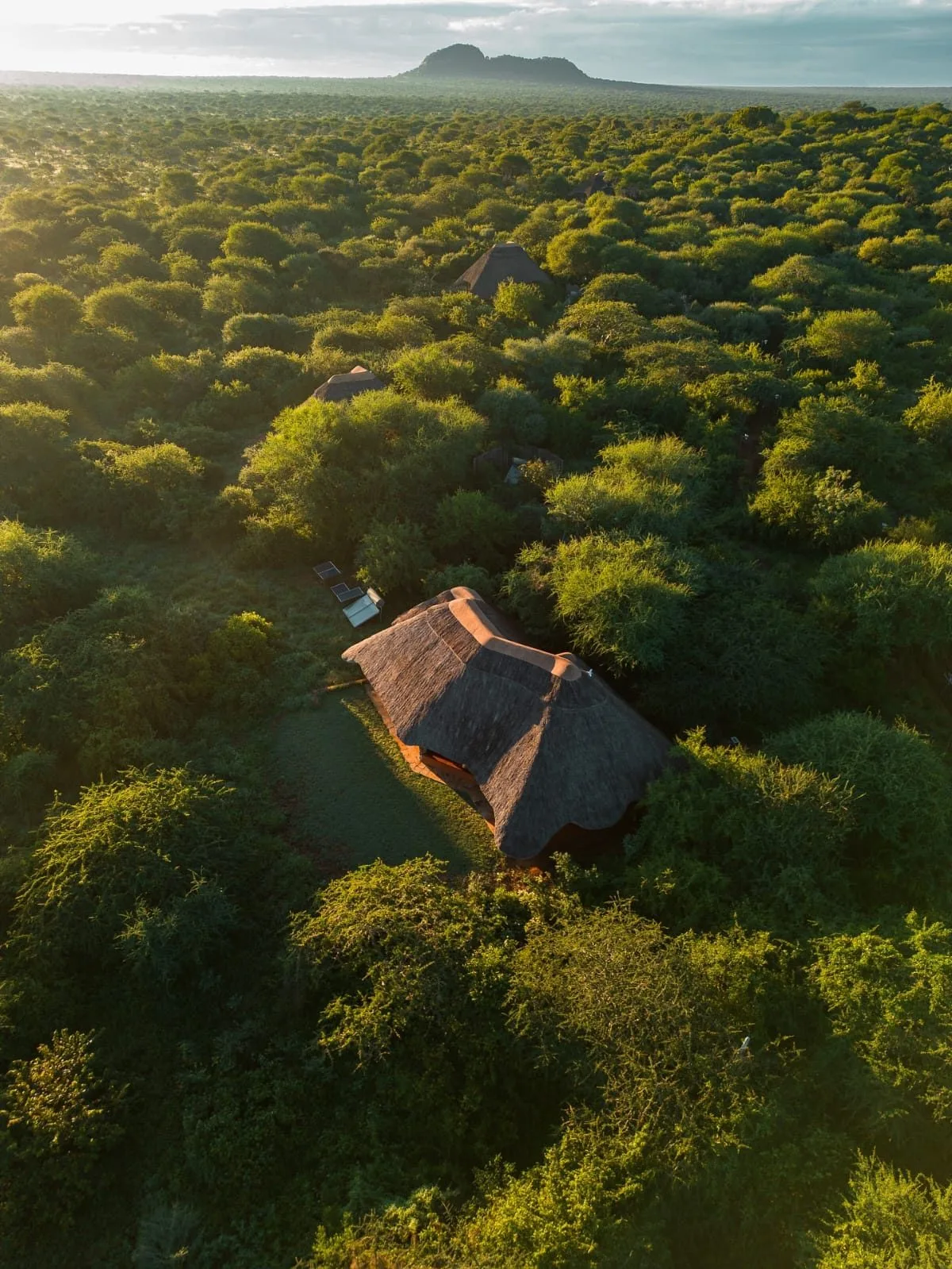 wildlife, Tsavo & Lumo Conservancy