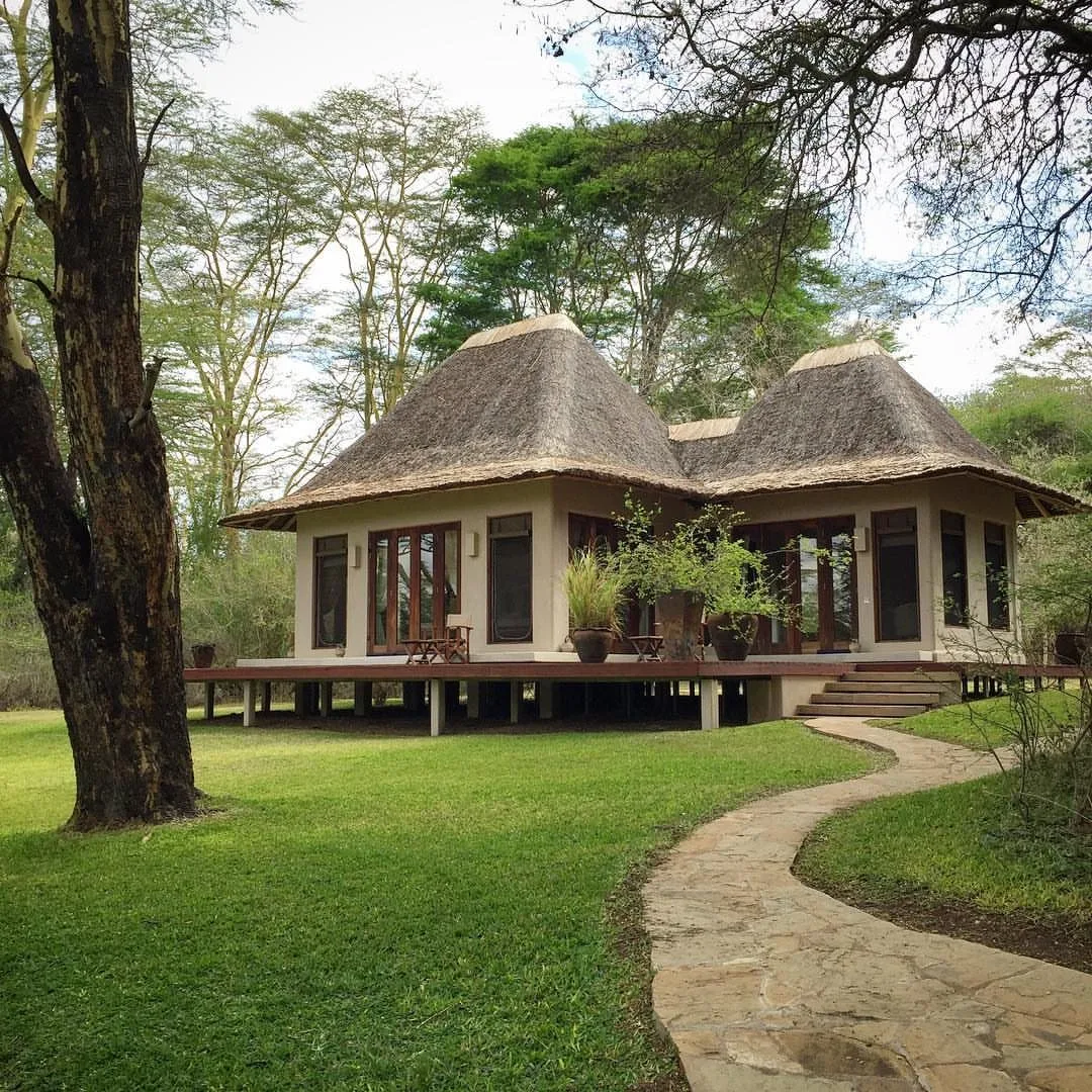 wildlife, Tsavo & Lumo Conservancy