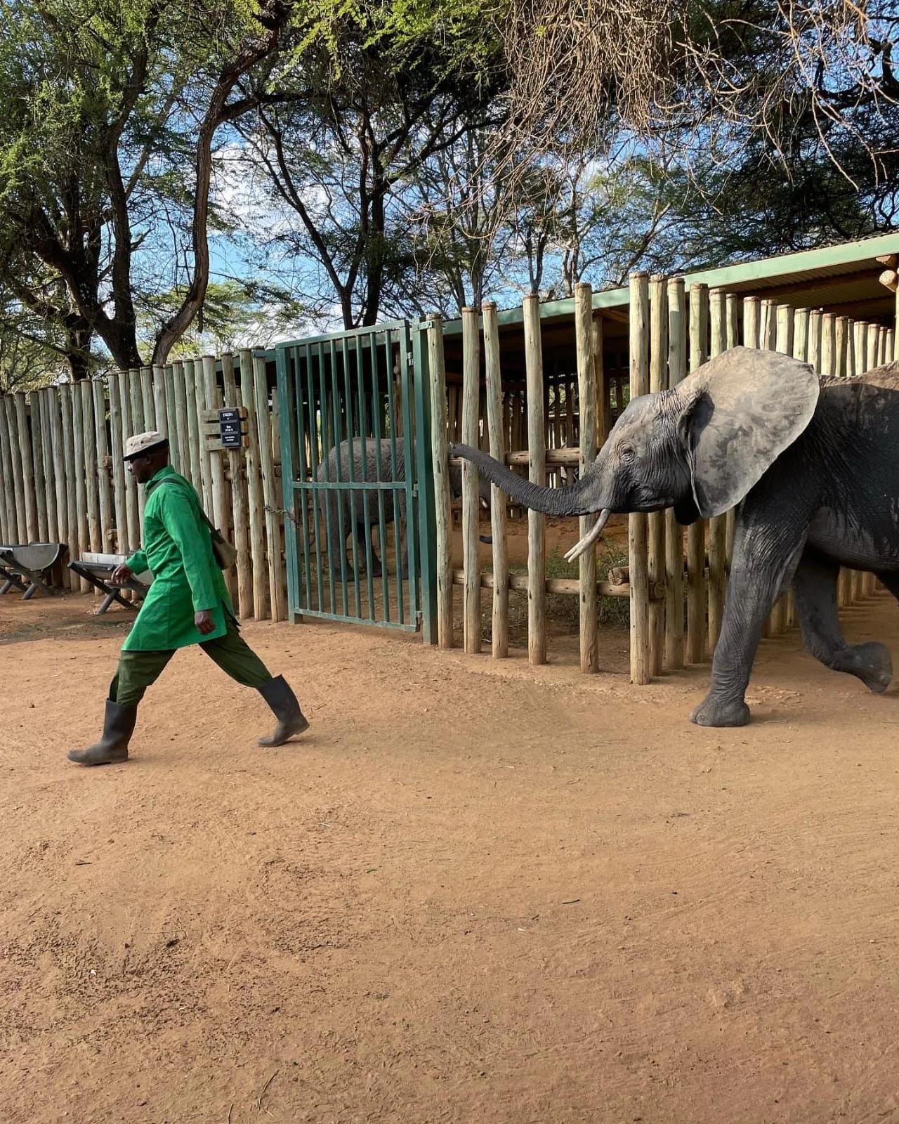 wildlife, Tsavo & Lumo Conservancy