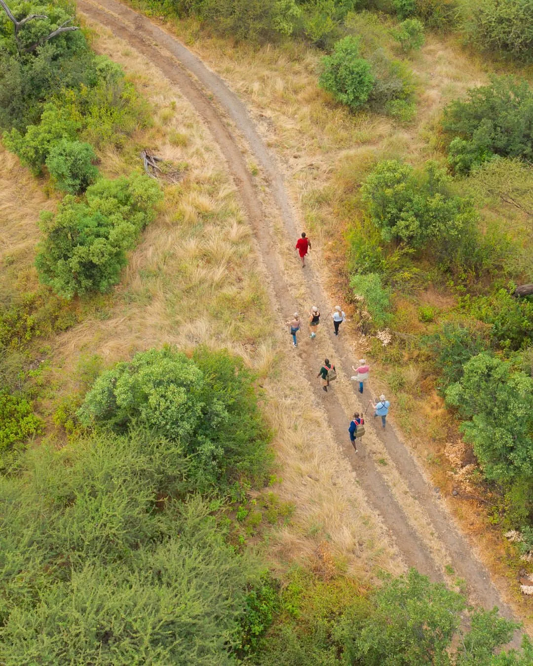 wildlife, The Great Rift Valley