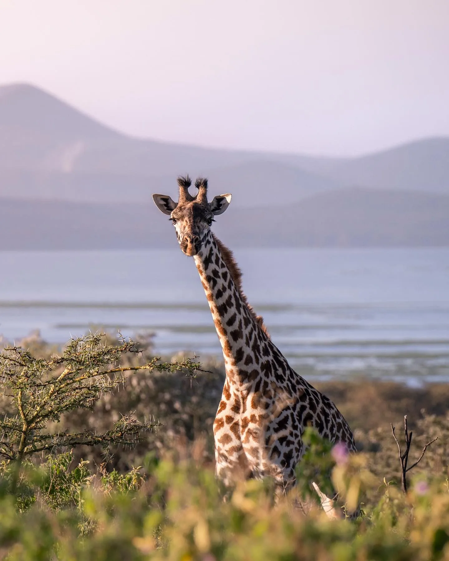 Great Rift Valley