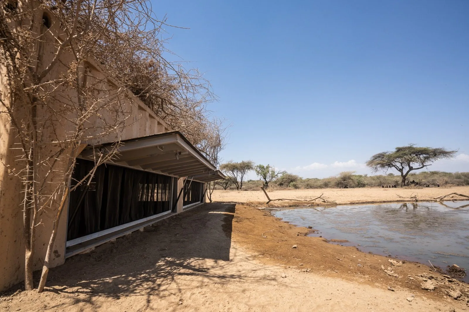 wildlife, The Great Rift Valley