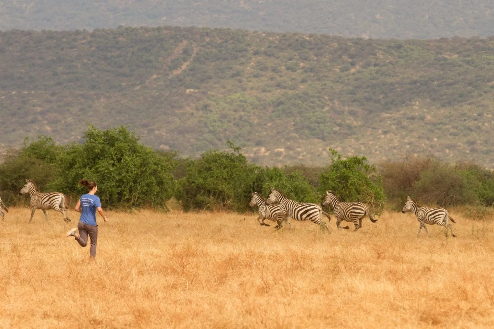 overview, The Great Rift Valley