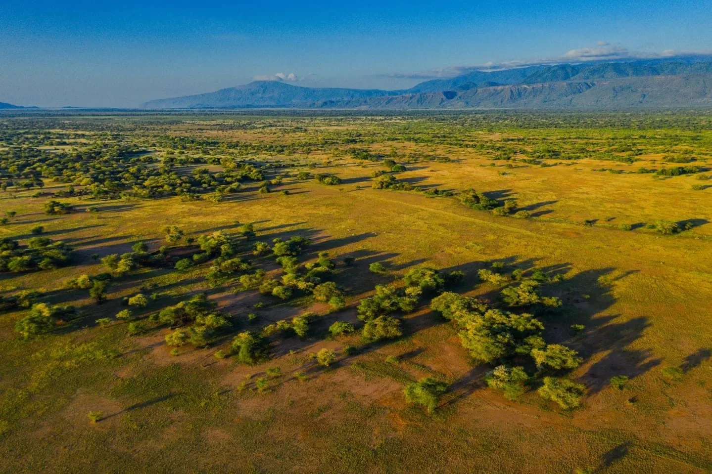 in detail, Mount Kenya
