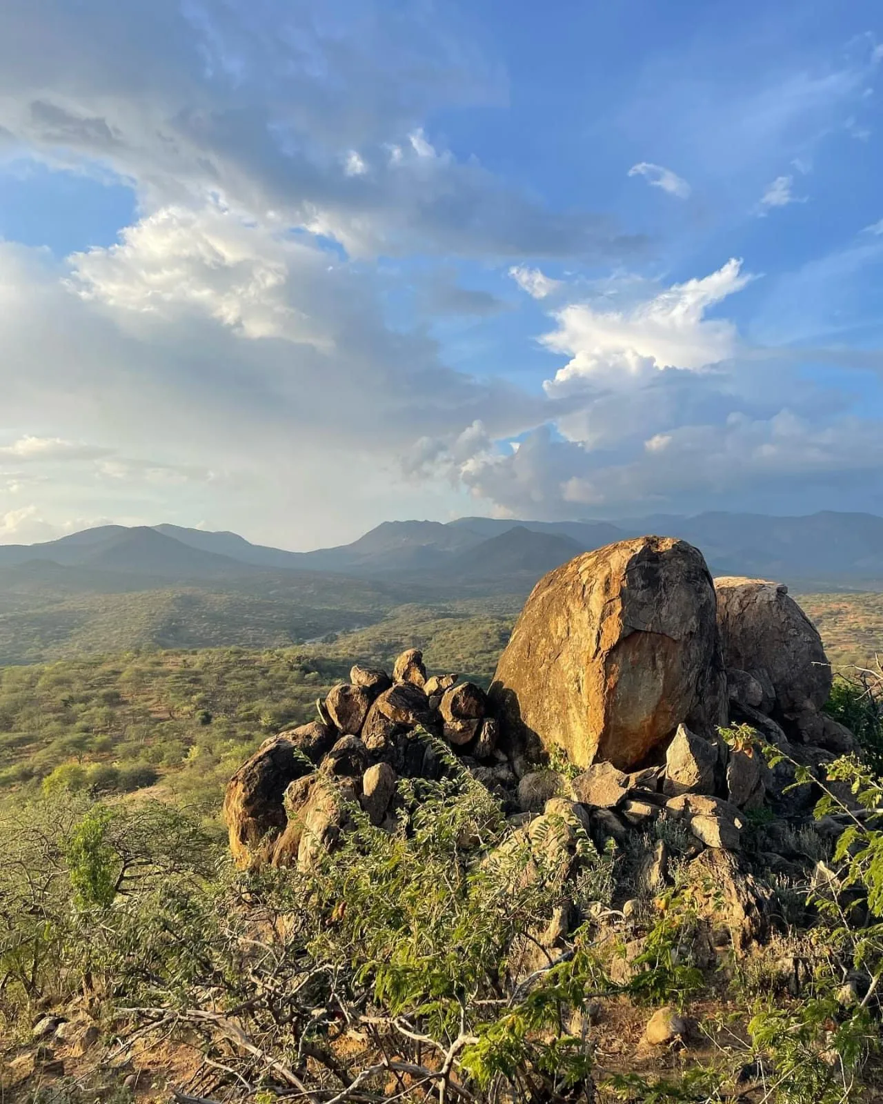 Camel Treks and Safaris