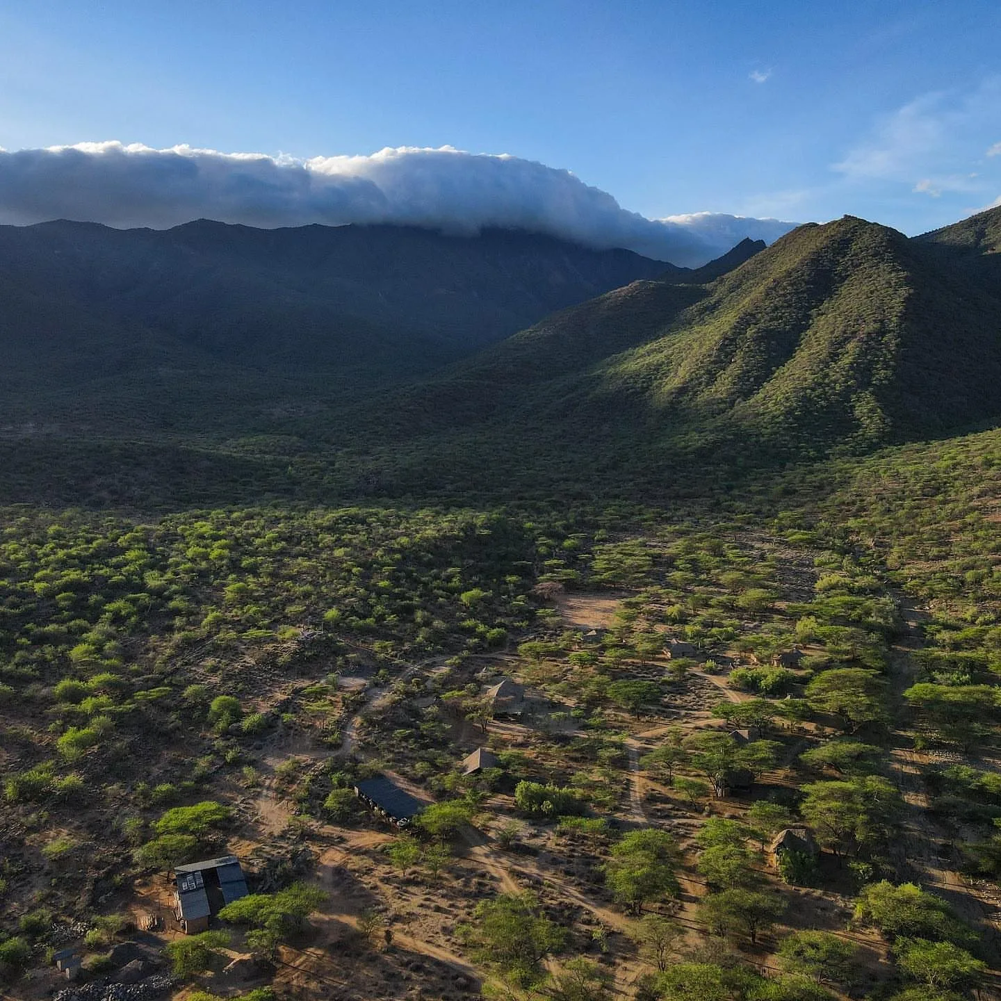 Northern Kenya and Samburu Wilderness safari