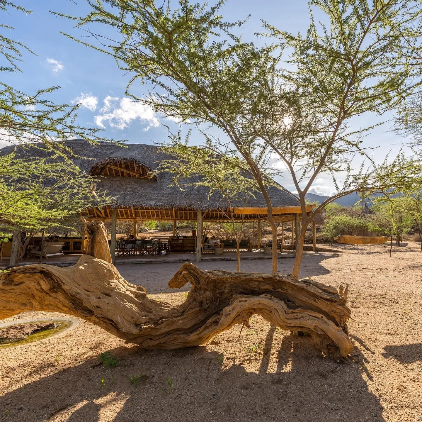 overview, Northern Kenya & Samburu
