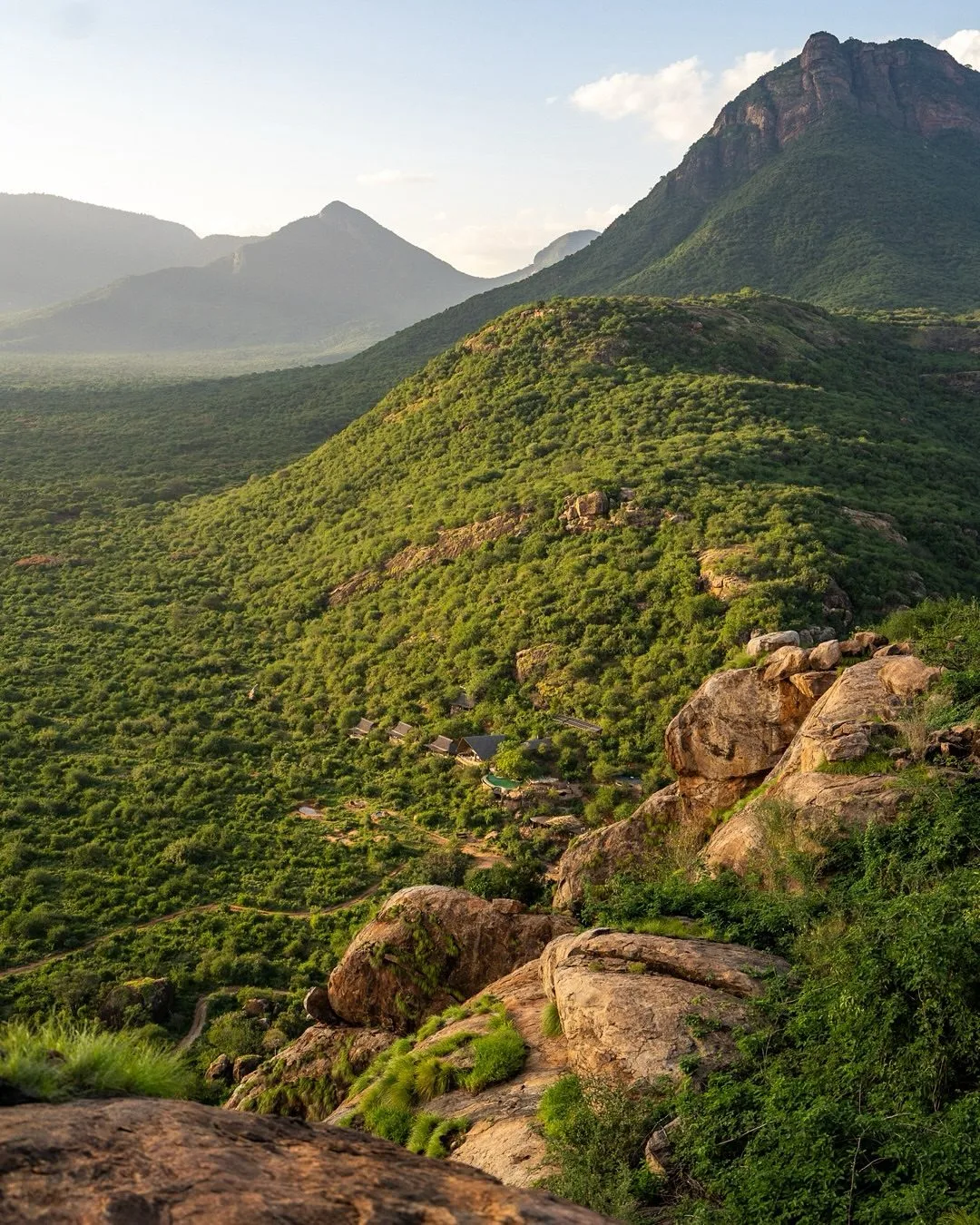 wildlife, Northern Kenya & Samburu