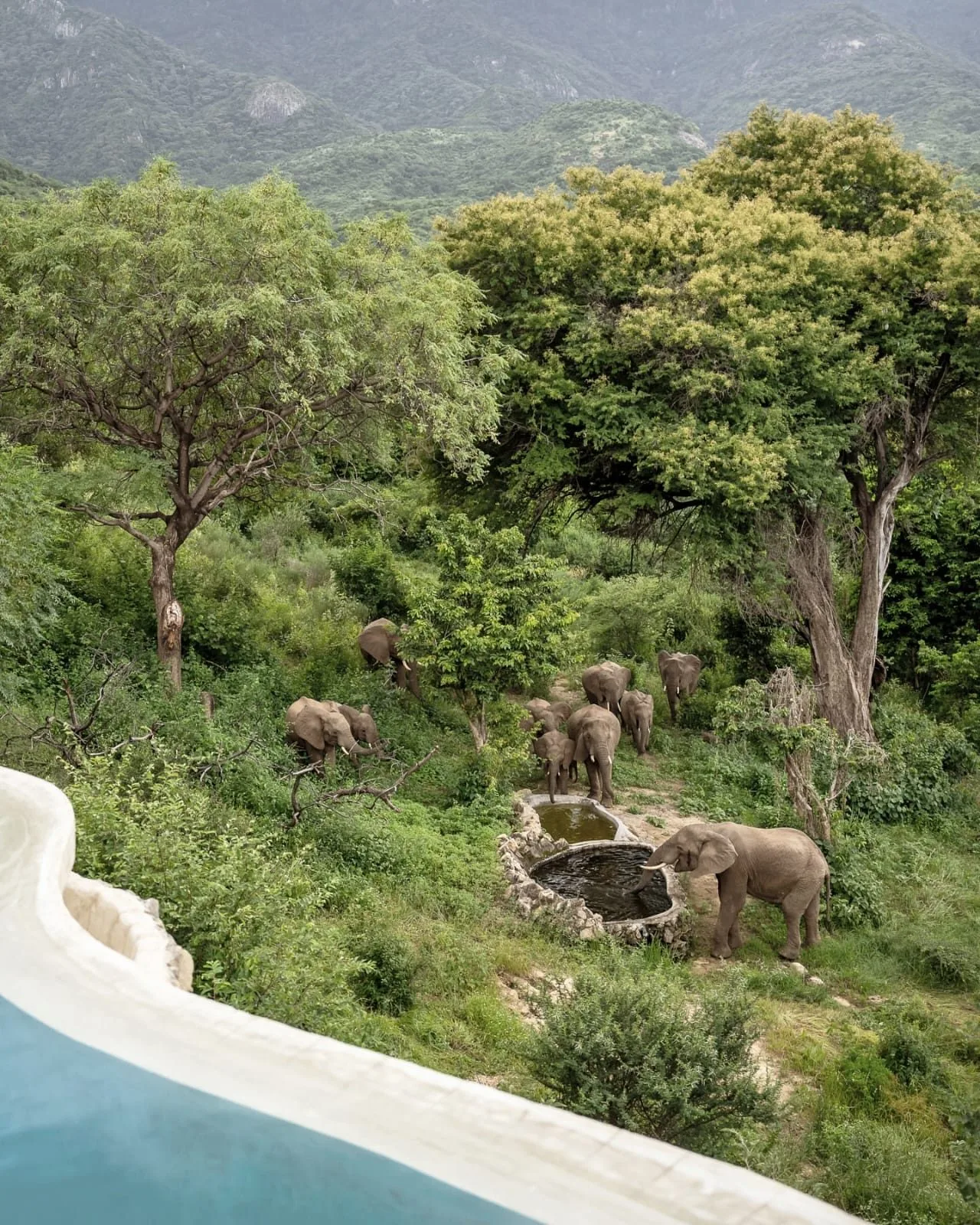 overview, Northern Kenya & Samburu