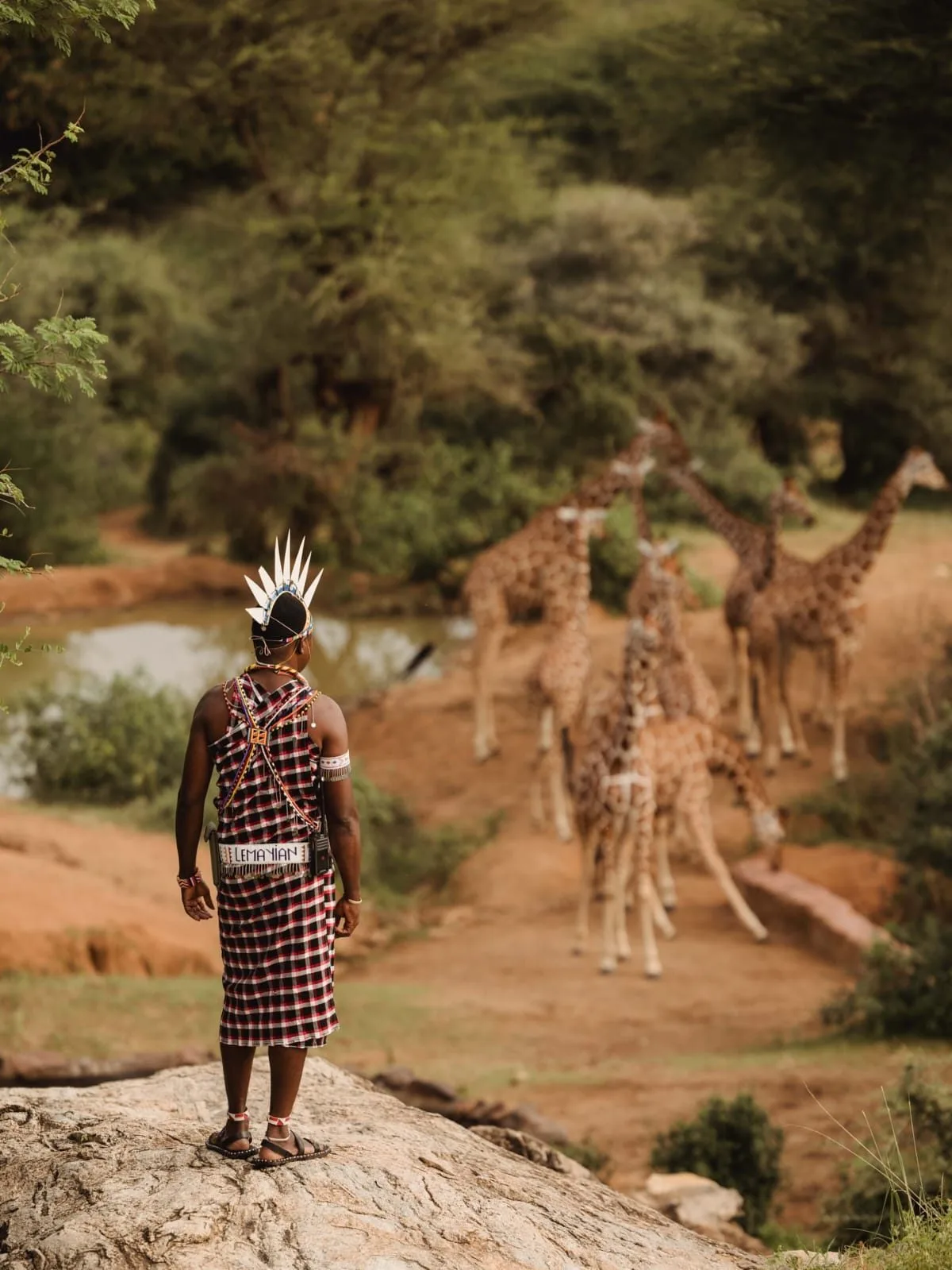 Sarara Camp, image 2