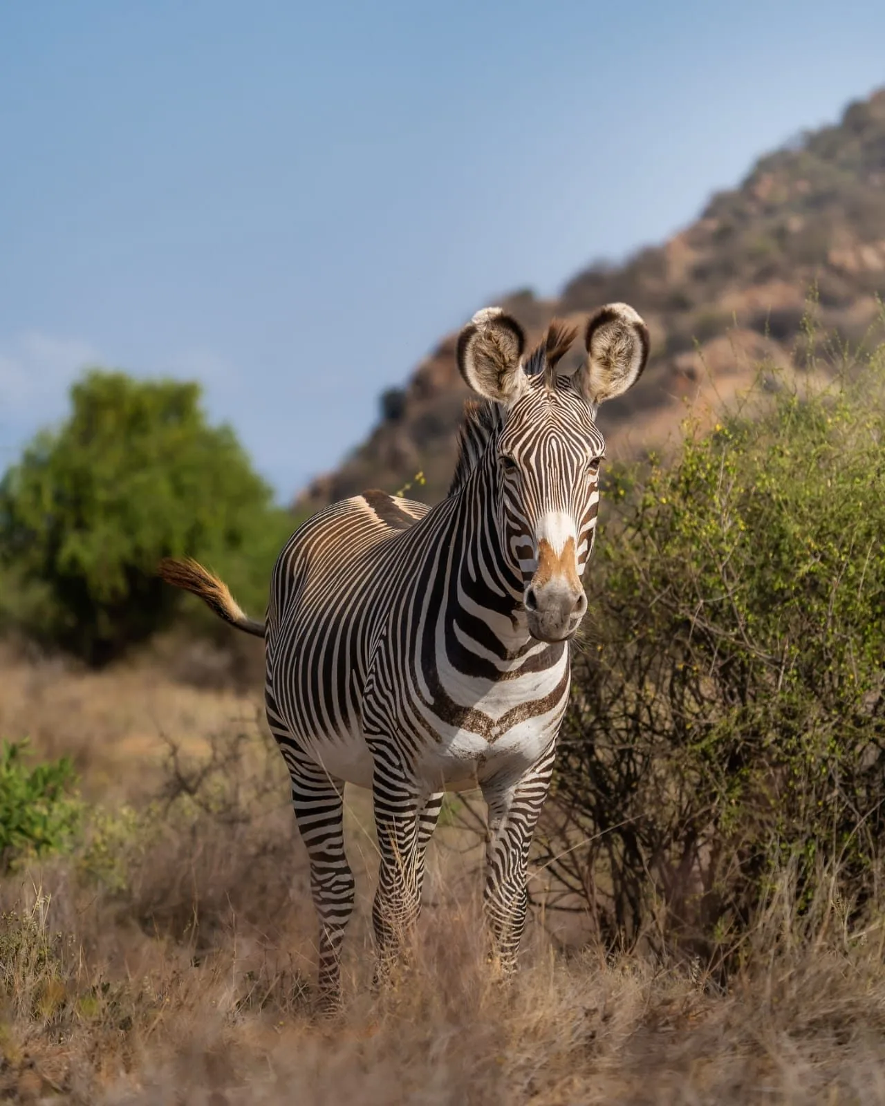 overview, Northern Kenya & Samburu