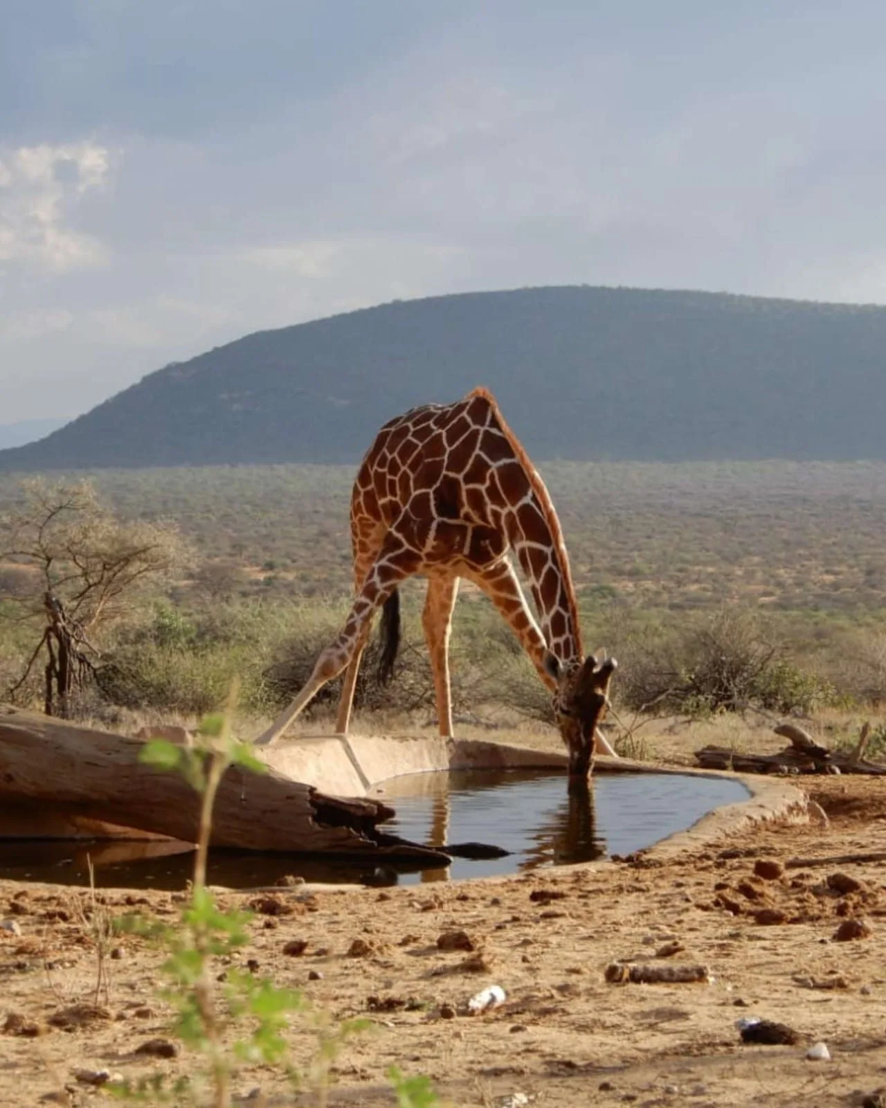 Saruni Samburu