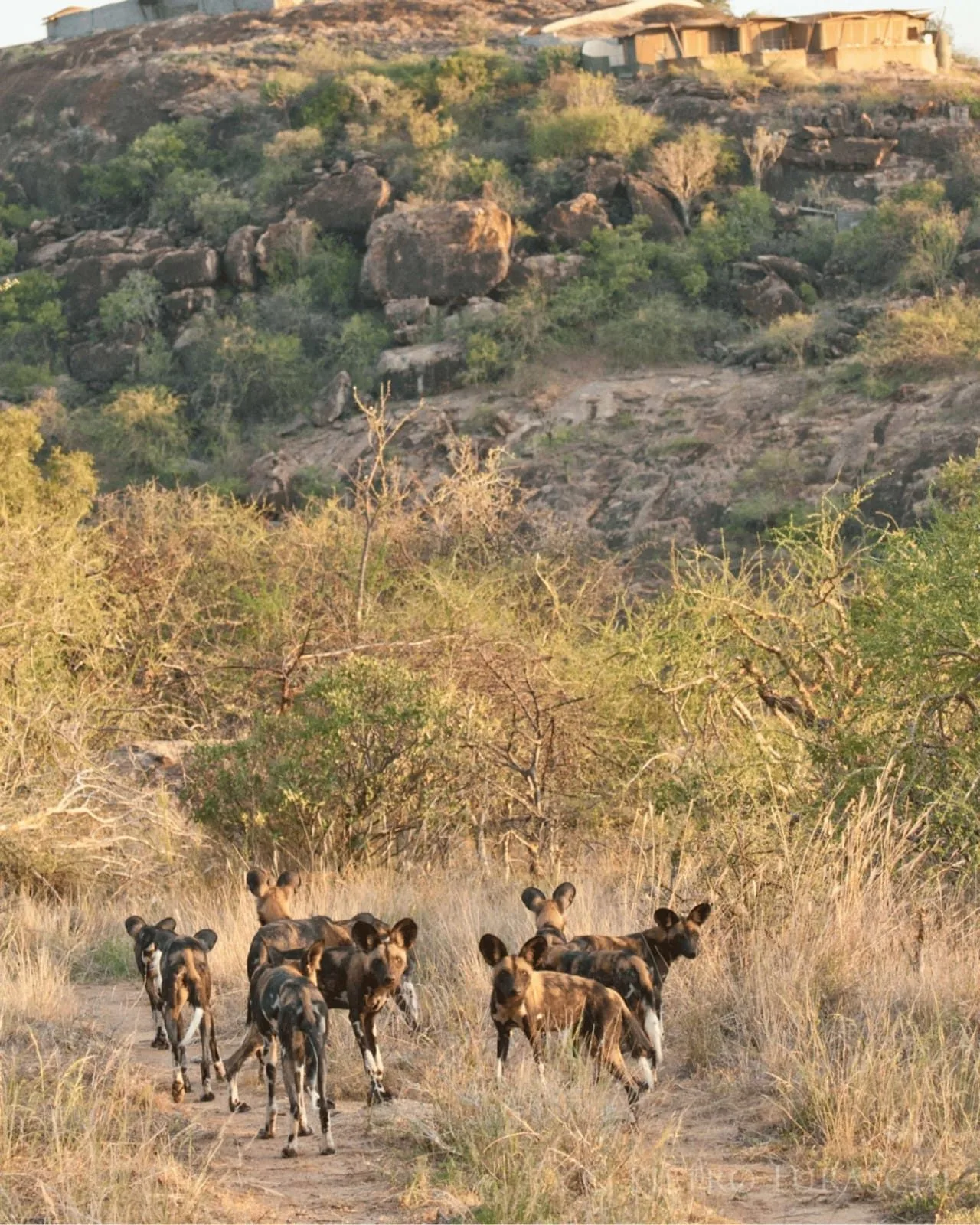 overview, Northern Kenya & Samburu