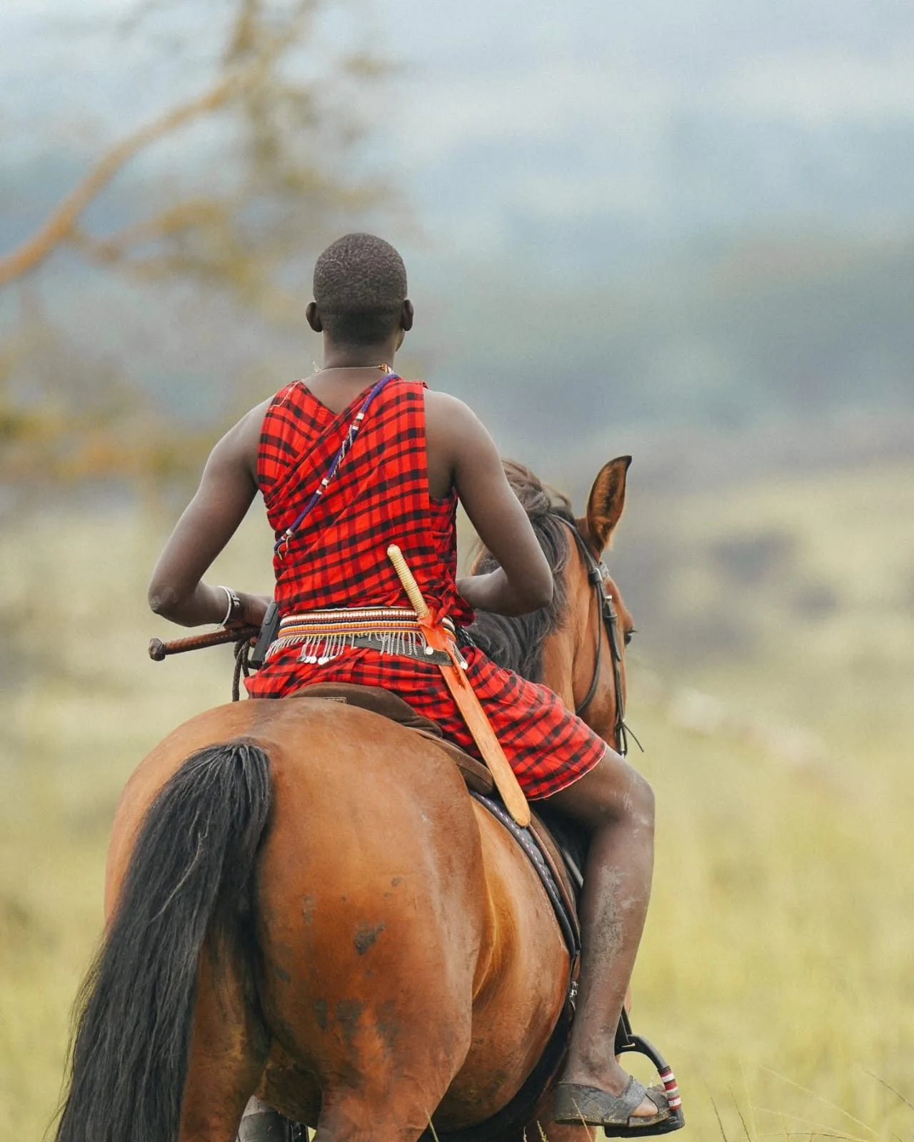 when to go, Meru