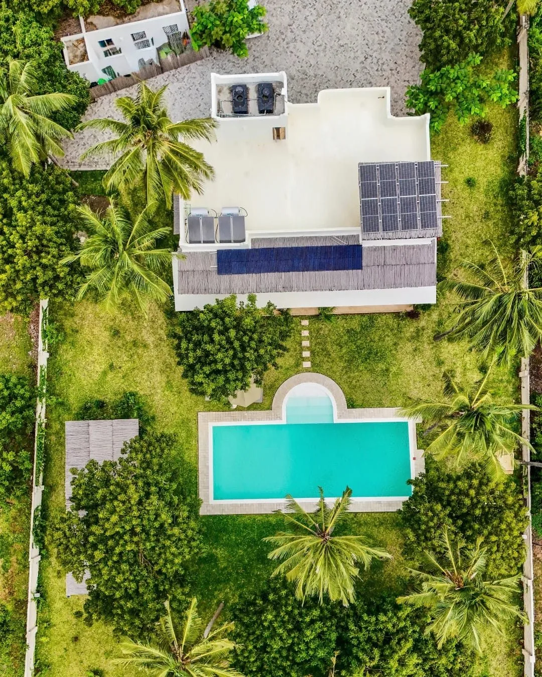 wildlife, Watamu & Malindi