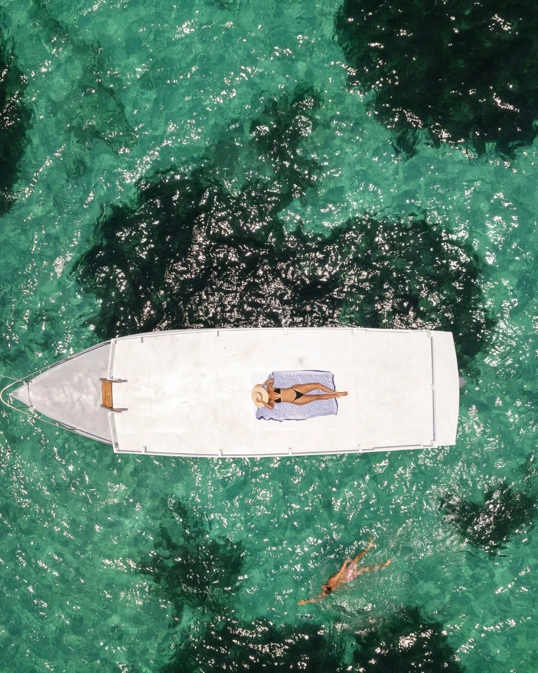wildlife, Watamu & Malindi