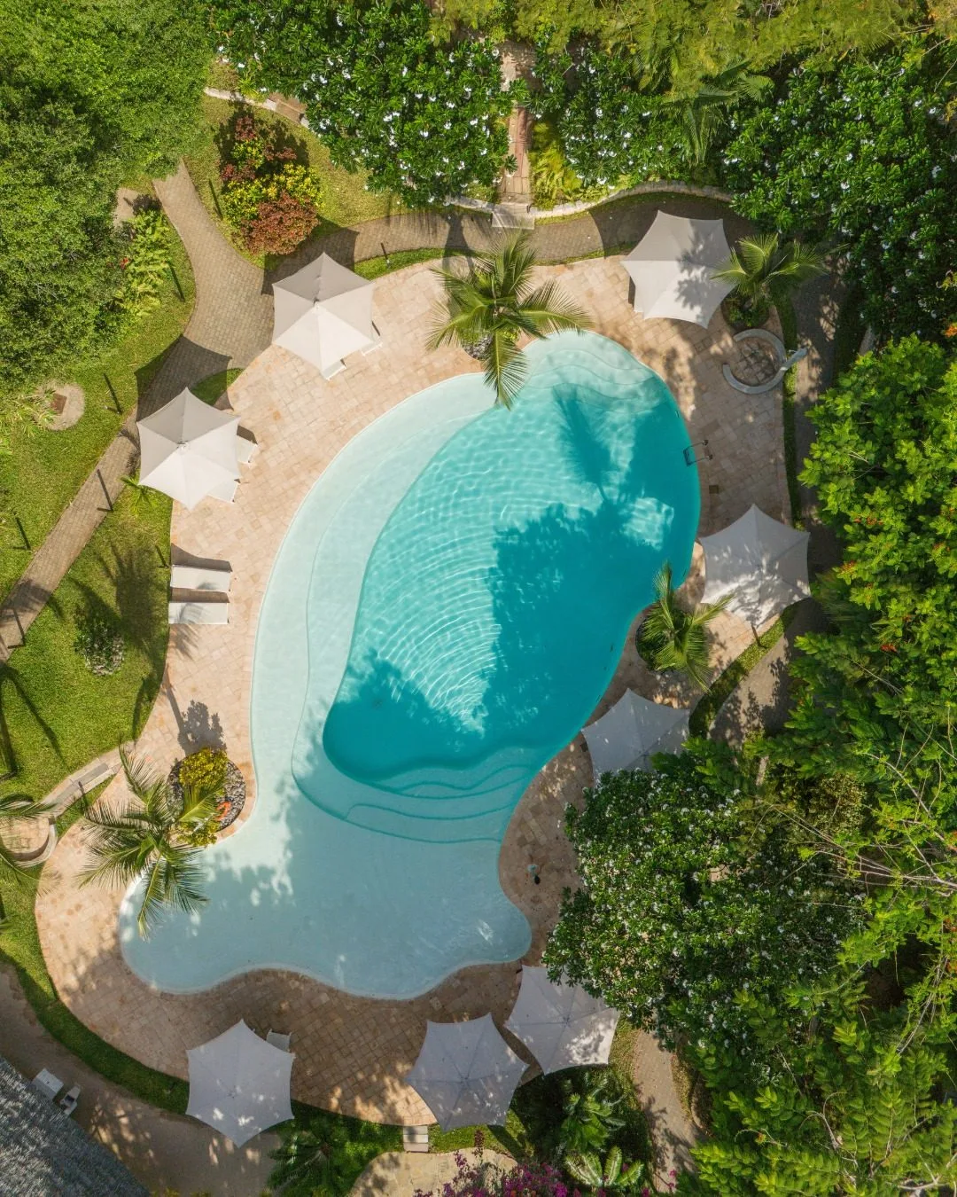 wildlife, Watamu & Malindi