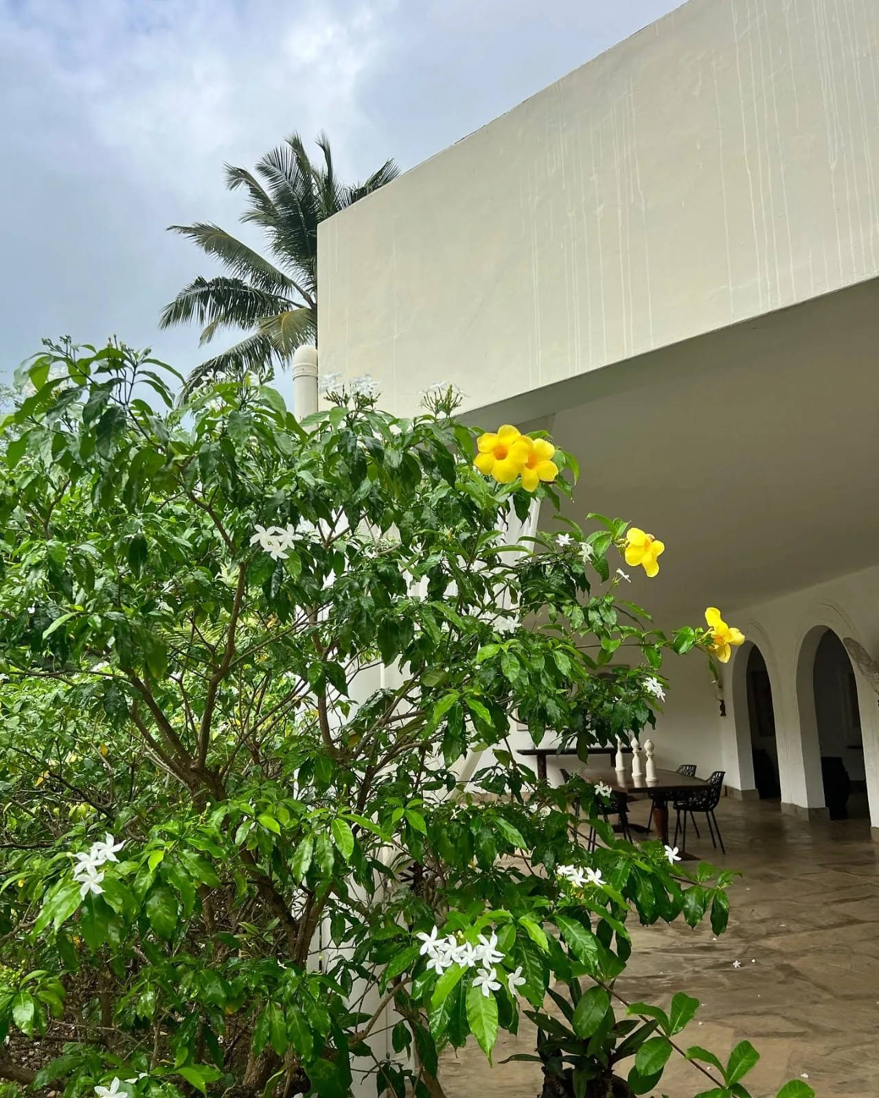 Watamu & Malindi image 06
