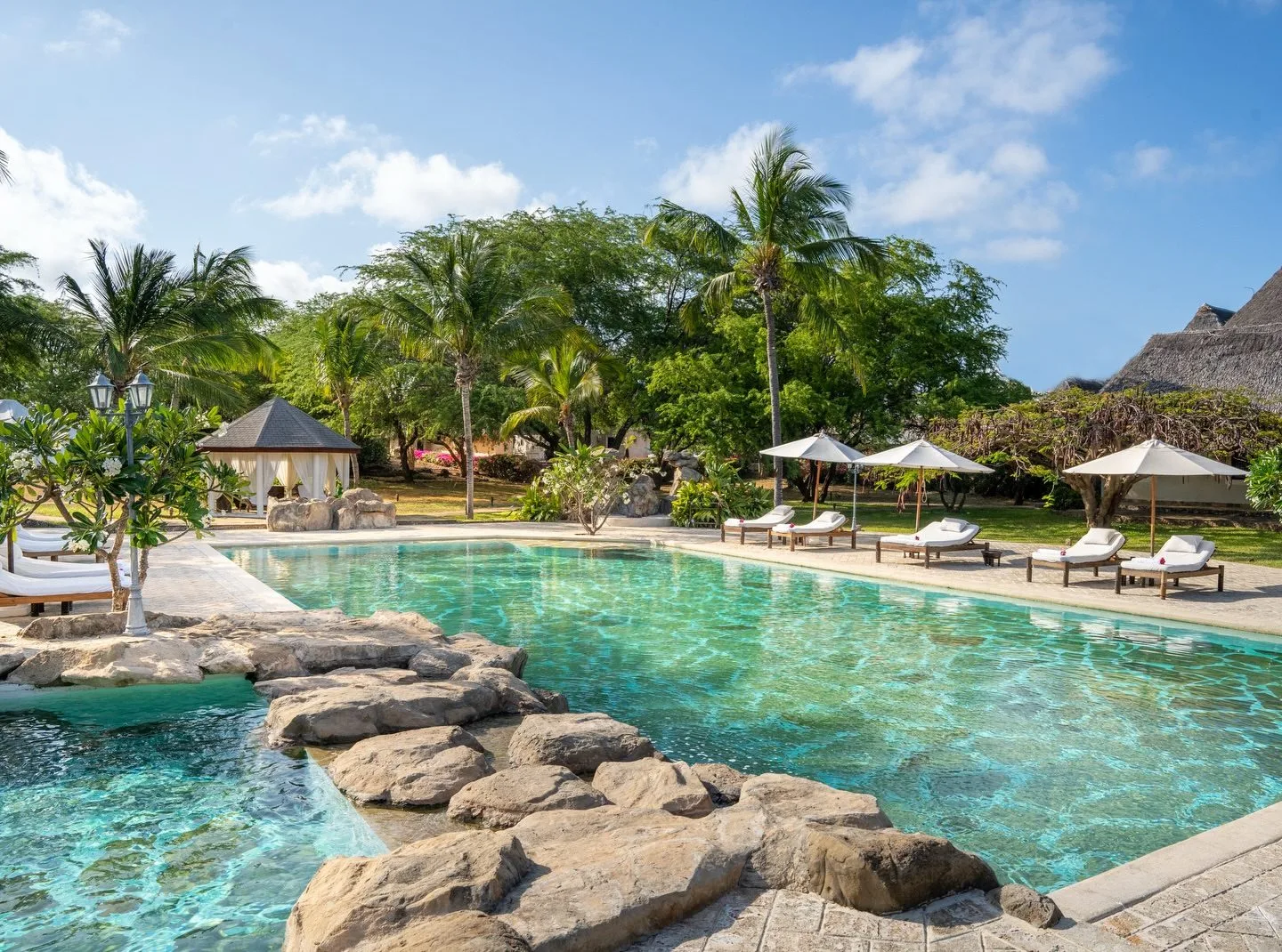 wildlife, Watamu & Malindi