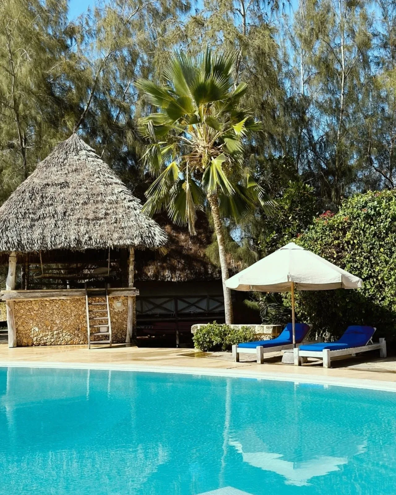 Watamu and Malindi Marine Coast Journey safari