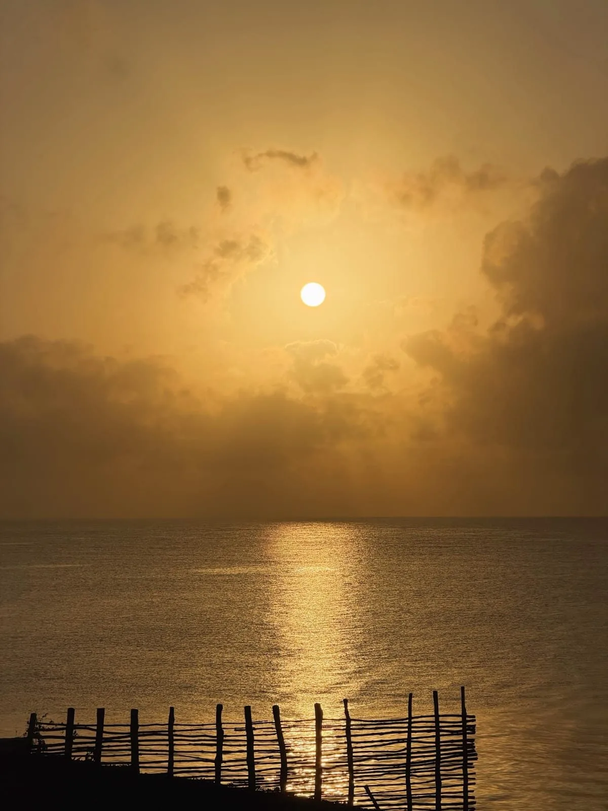 wildlife, Watamu & Malindi