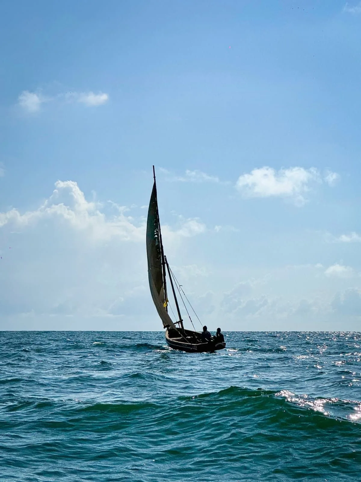 wildlife, Watamu & Malindi