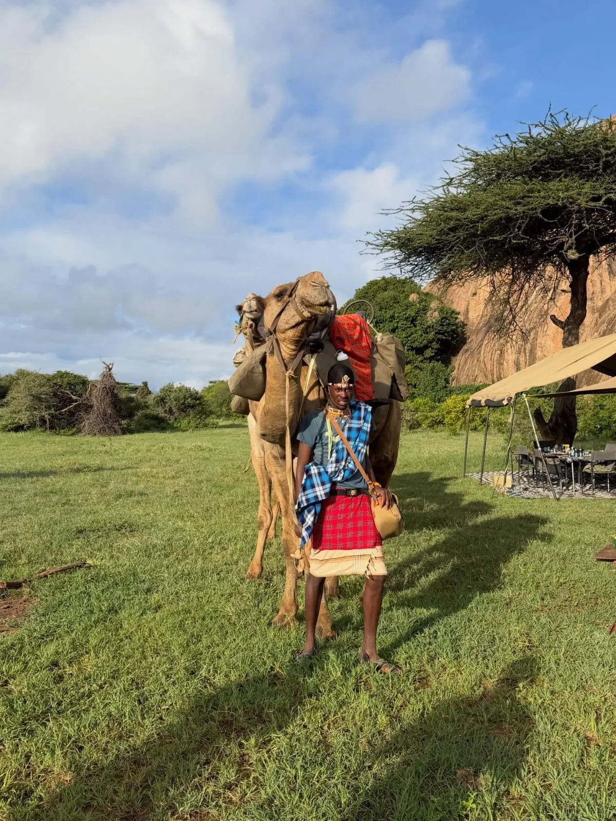 wildlife, Amboseli & Chyulu Hills