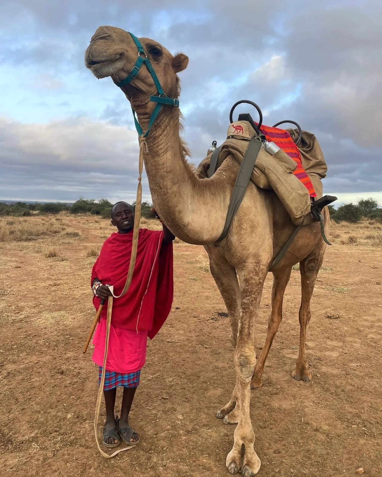 wildlife, Tsavo & Lumo Conservancy